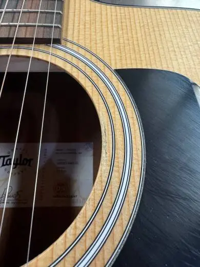 Taylor Guitars - 110CE V3 2